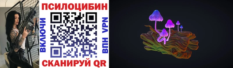 наркотики  Тверь  Галлюциногенные грибы прущие грибы 